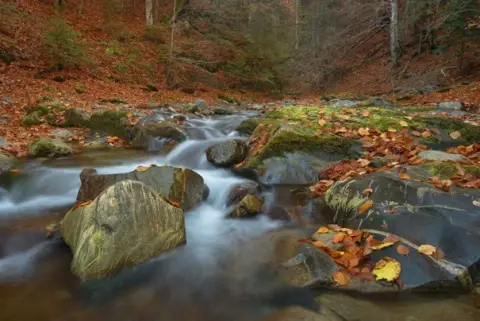 Lugares de cuento que visitar en noviembre