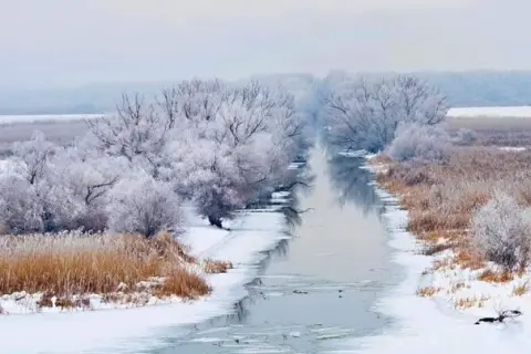 Invierno en el Delta del Danubio