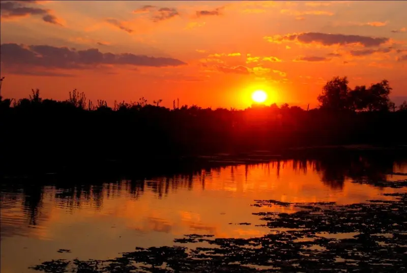 Invierno en el Delta del Danubio