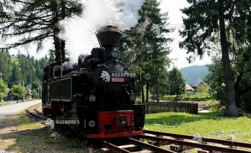 ¡Descubre qué puedes visitar en Suceava!