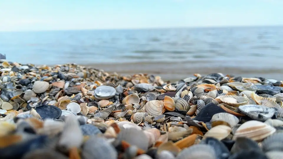 Curiosidades sobre el Mar Negro