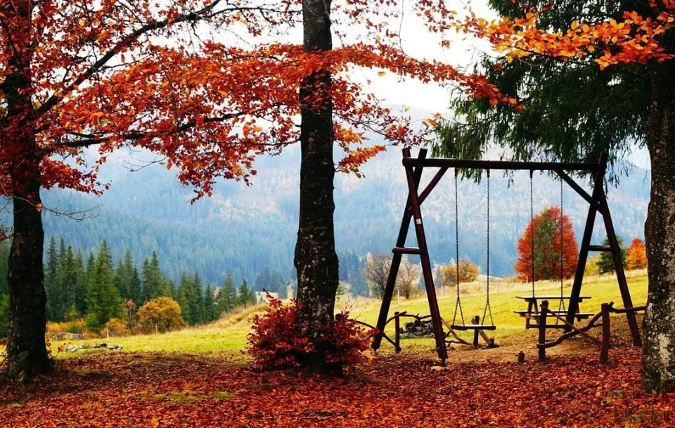 ¡Recibe el otoño en la estación de Borsec!